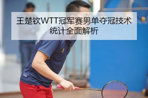王楚钦WTT冠军赛男单夺冠技术统计全面解析